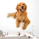 Golden Retriever Dog Wall Decal