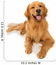 Golden Retriever Dog Wall Decal