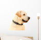 Labrador Wall Decal