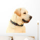 Labrador Wall Decal