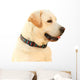 Labrador Wall Decal