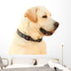 Labrador Wall Decal