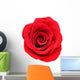 Red Rose White Wall Decal