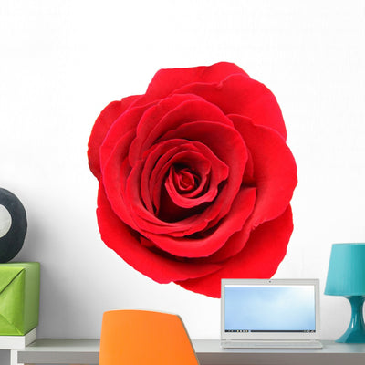 Red Rose White Wall Decal shown on a wall