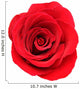 Red Rose White Wall Decal