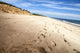 Nauset Light Beach Wall Decal