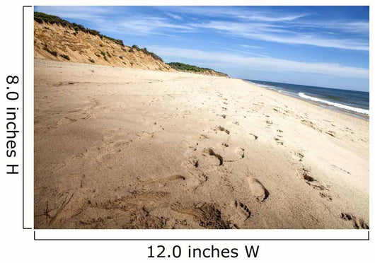 Nauset Light Beach Wall Decal