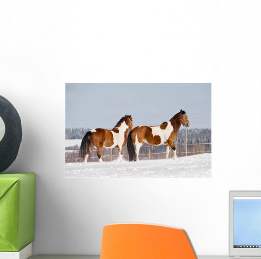 Pinto Horses Winter Wall Decal