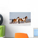 Pinto Horses Winter Wall Decal