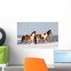 Pinto Horses Winter Wall Decal