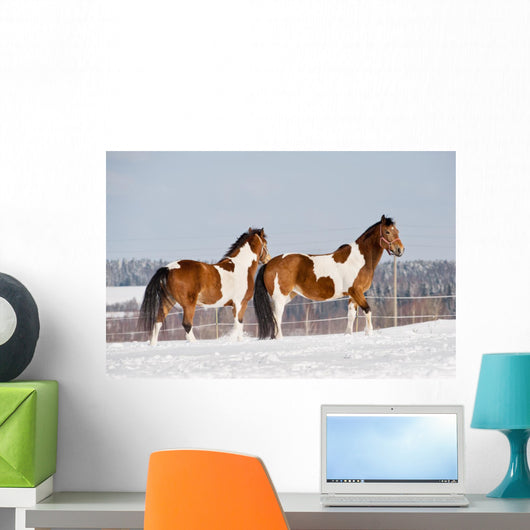 Pinto Horses Winter Wall Decal