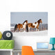 Pinto Horses Winter Wall Decal