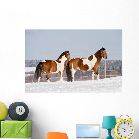 Pinto Horses Winter Wall Decal