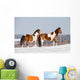 Pinto Horses Winter Wall Decal