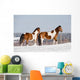 Pinto Horses Winter Wall Decal