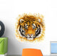 Wild Tiger Wall Decal