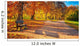 Nice Autumnal Scene Wall Decal