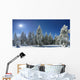 Winter Trees Beskid Mountains Wall Decal