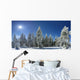 Winter Trees Beskid Mountains Wall Decal