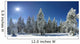 Winter Trees Beskid Mountains Wall Decal