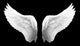 Wing Wall Decal