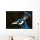 Pfauenkopf Wall Decal