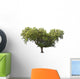 Holm Oak Wall Decal