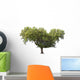 Holm Oak Wall Decal