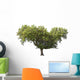 Holm Oak Wall Decal