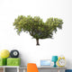 Holm Oak Wall Decal