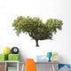 Holm Oak Wall Decal