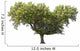 Holm Oak Wall Decal