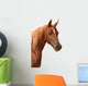 Purebred Arabian Stallion Wall Decal