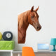 Purebred Arabian Stallion Wall Decal