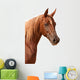 Purebred Arabian Stallion Wall Decal