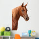 Purebred Arabian Stallion Wall Decal