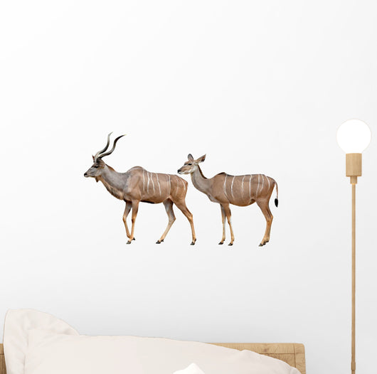 Greater Kudu White Wall Decal