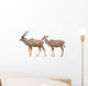 Greater Kudu White Wall Decal