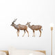 Greater Kudu White Wall Decal