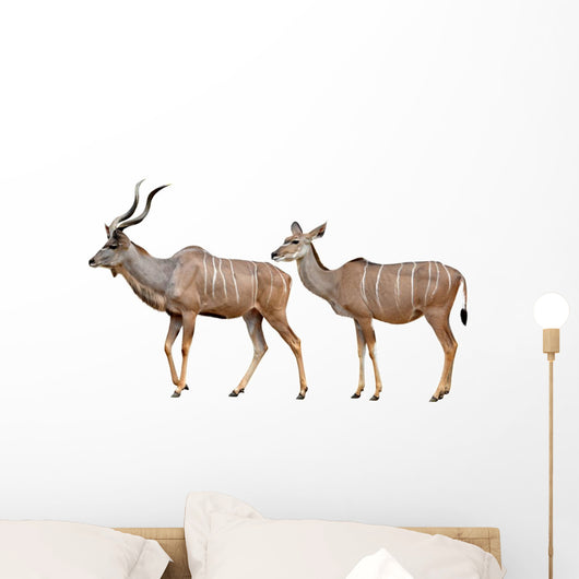 Greater Kudu White Wall Decal