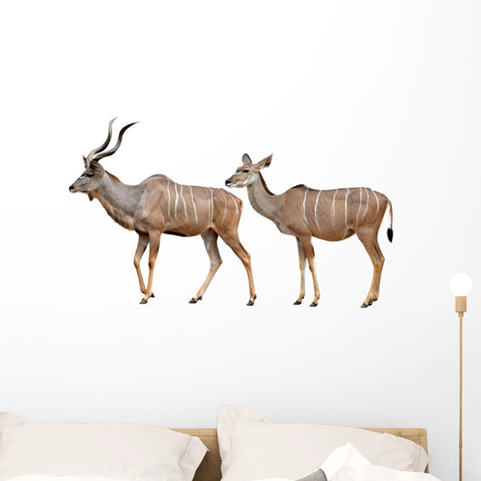 Greater Kudu White Wall Decal