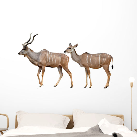 Greater Kudu White Wall Decal