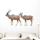Greater Kudu White Wall Decal