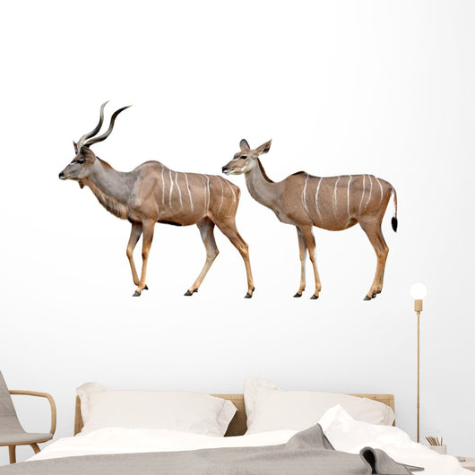 Greater Kudu White Wall Decal