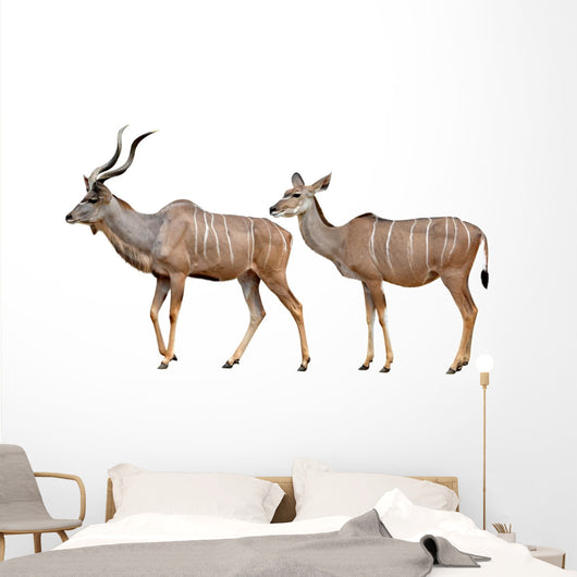 Greater Kudu White Wall Decal
