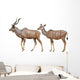 Greater Kudu White Wall Decal