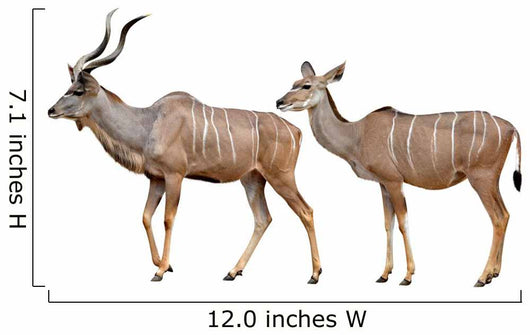 Greater Kudu White Wall Decal