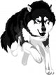 Pure Breed Malamute Wall Decal