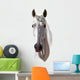 Horse with Pigtail Wall Decal