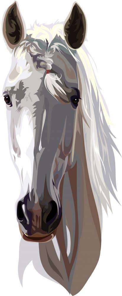 Horse with Pigtail Wall Decal